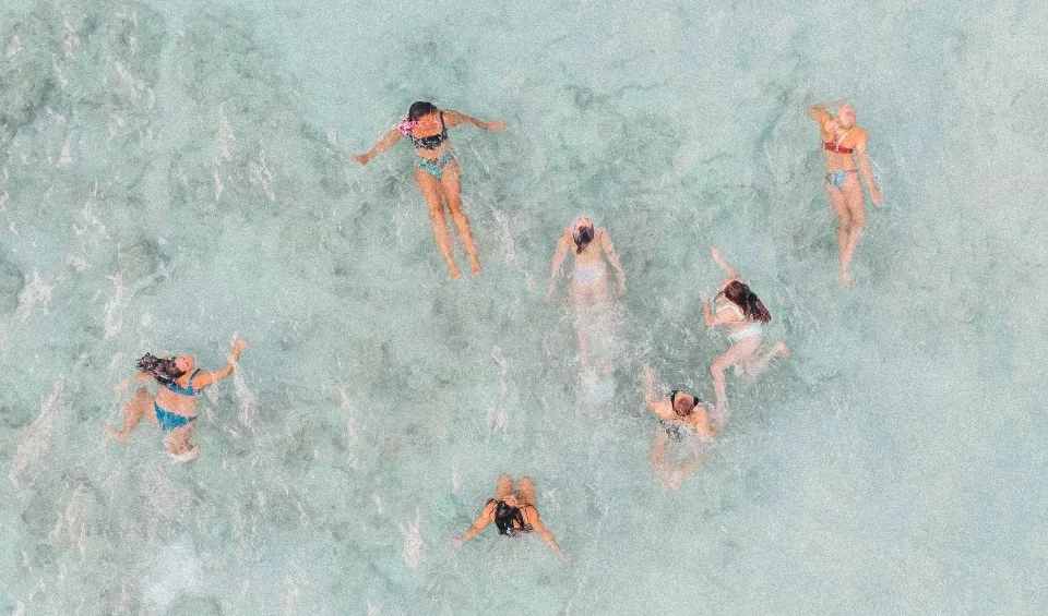 Detoxifying Benefits of Spirulina