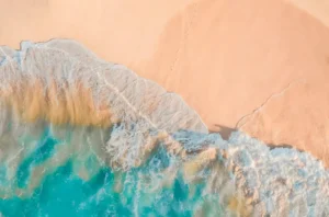 Cell Disruption Technology