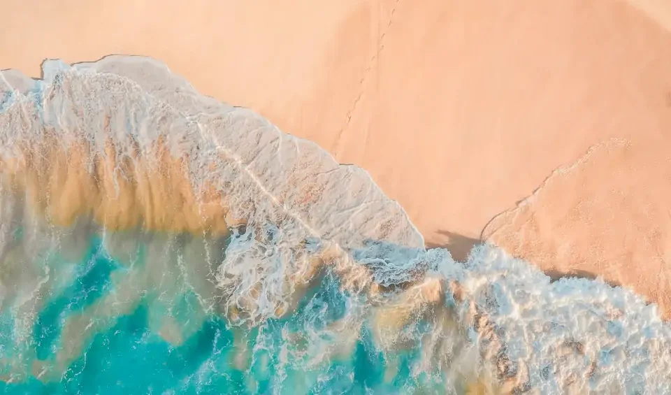 Cell Disruption Technology