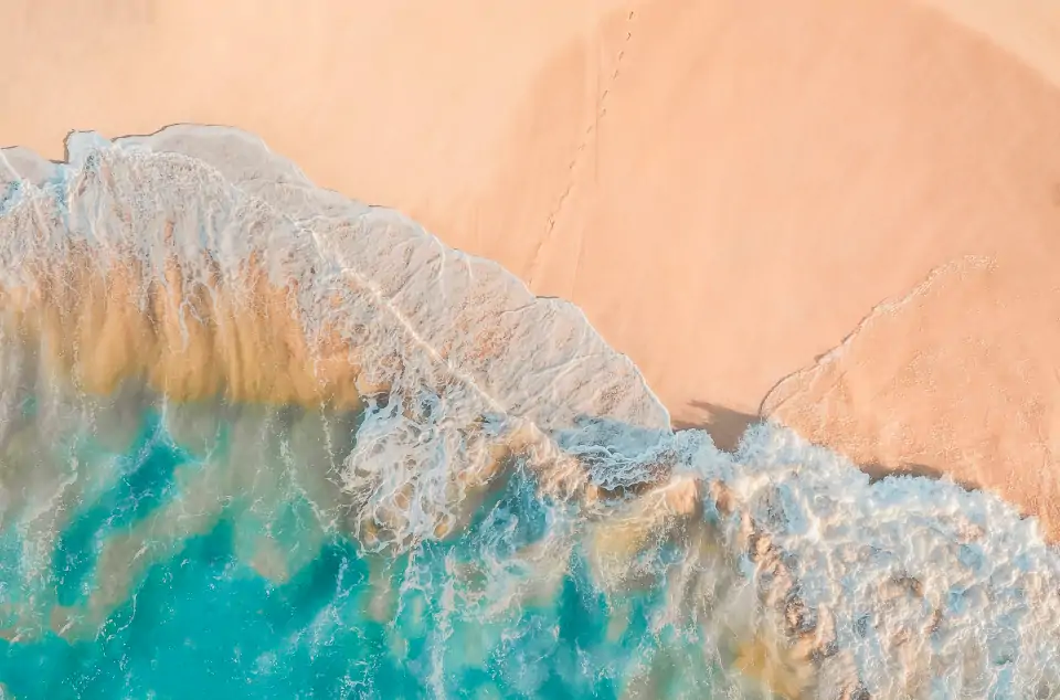 Cell Disruption Technology