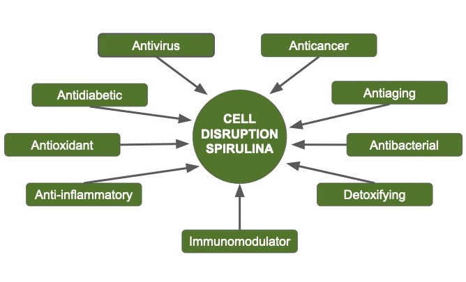 Cell Disruption Spirulina